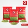 Garni Foods Fennel Seeds (Saunf) 100gm