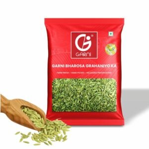 Garni Foods Fennel Seeds (Saunf) 100gm