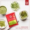 Garni Moringa Powder 100gm